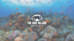 dive village logo by katoch designs